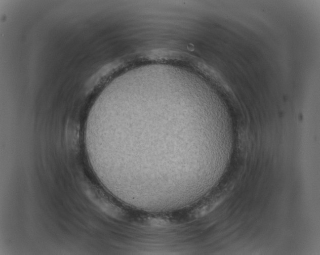 X0000086270592200704051311