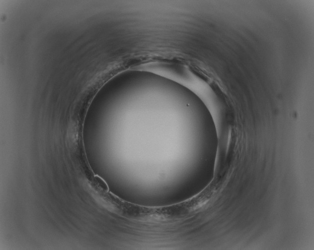 X0000086270593200704051311