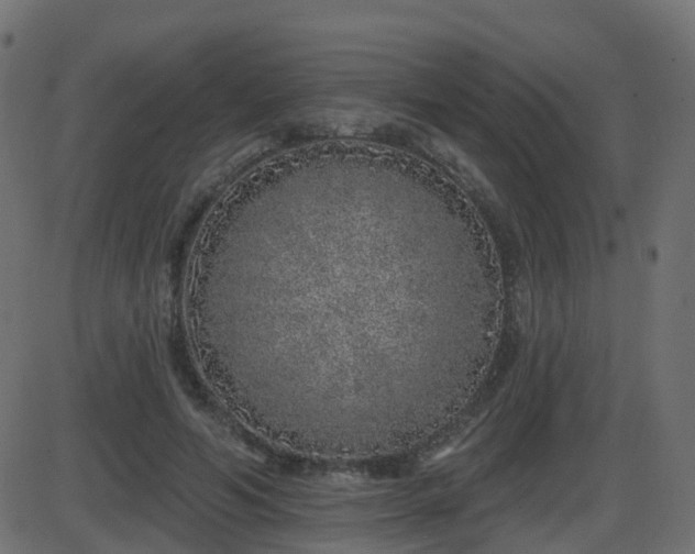 X0000086270594200704051311