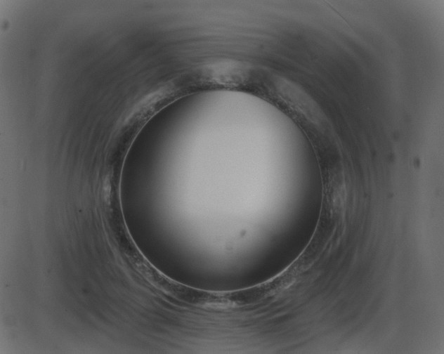 X0000086270595200704051311