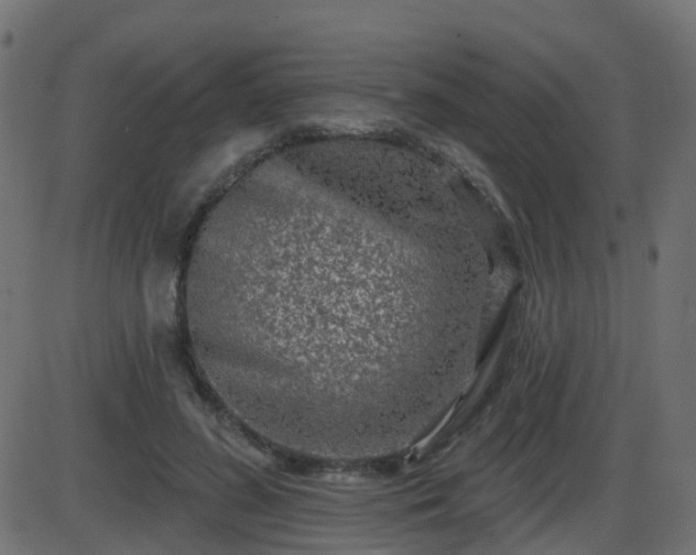 X0000086270596200704051311