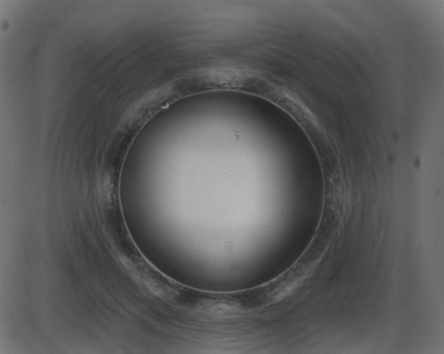 X0000086270597200704051311