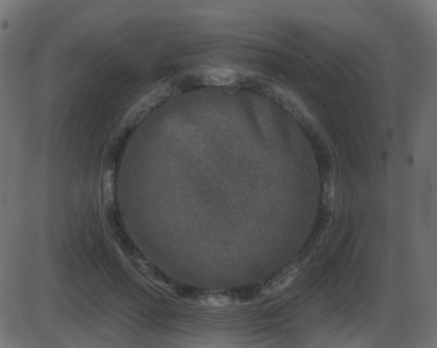 X0000086270598200704051311