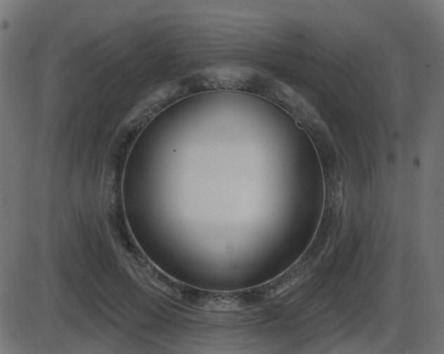 X0000086270599200704051311