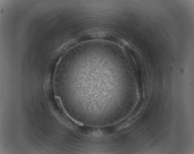 X0000086270600200704051311