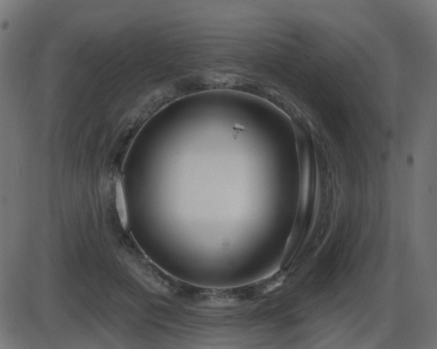 X0000086270601200704051311