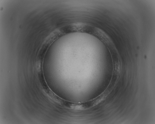 X0000086270602200704051311