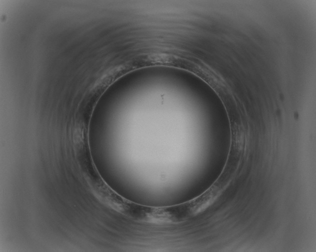 X0000086270603200704051311