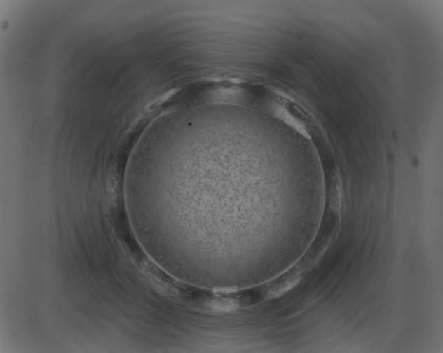 X0000086270604200704051311