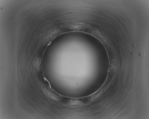 X0000086270605200704051311