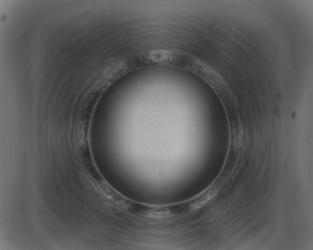 X0000086270606200704051311