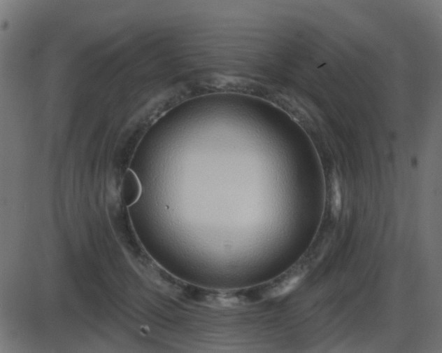 X0000086270607200704051311