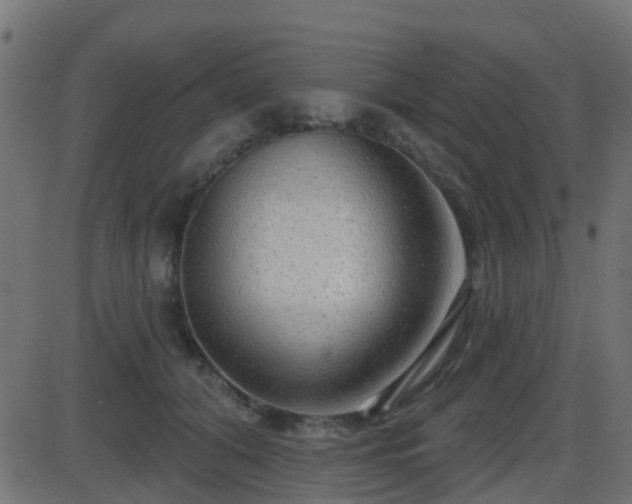 X0000086270608200704051311