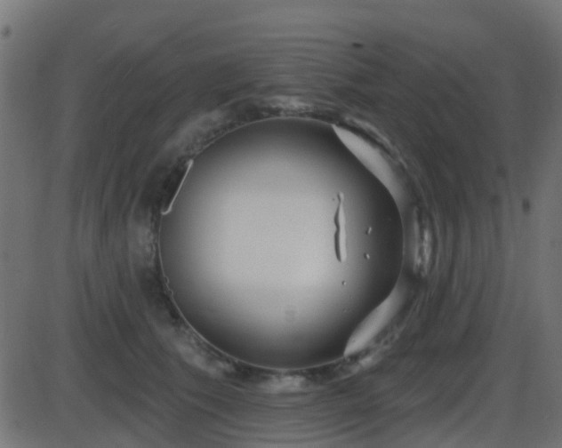 X0000086270609200704051311