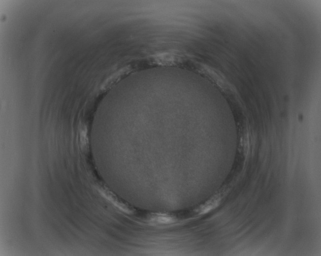 X0000086270610200704051311