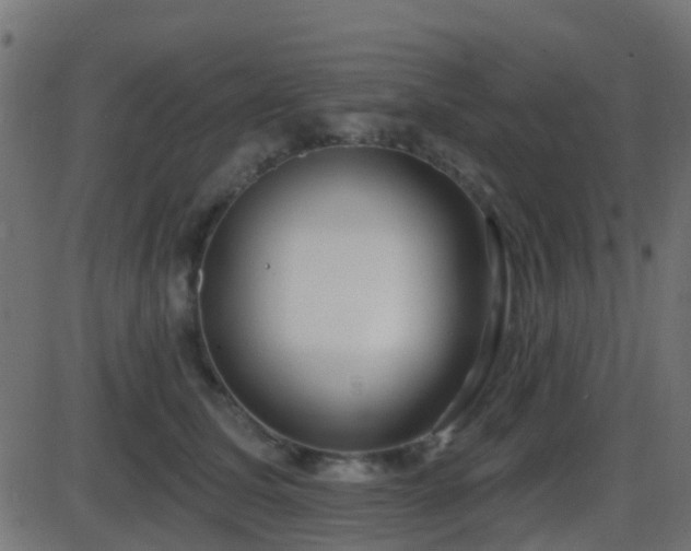 X0000086270611200704051311