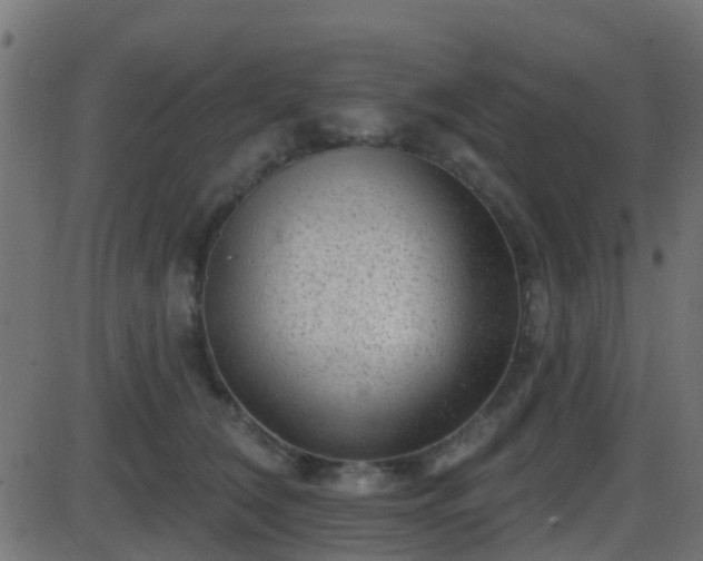 X0000086270612200704051311