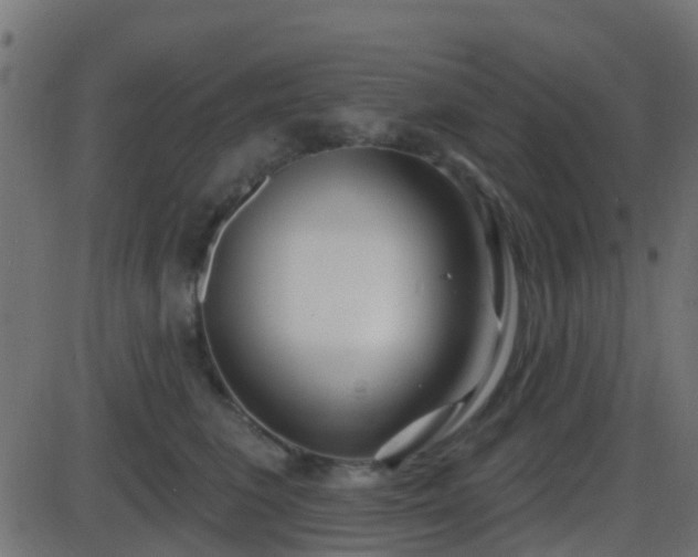 X0000086270613200704051311