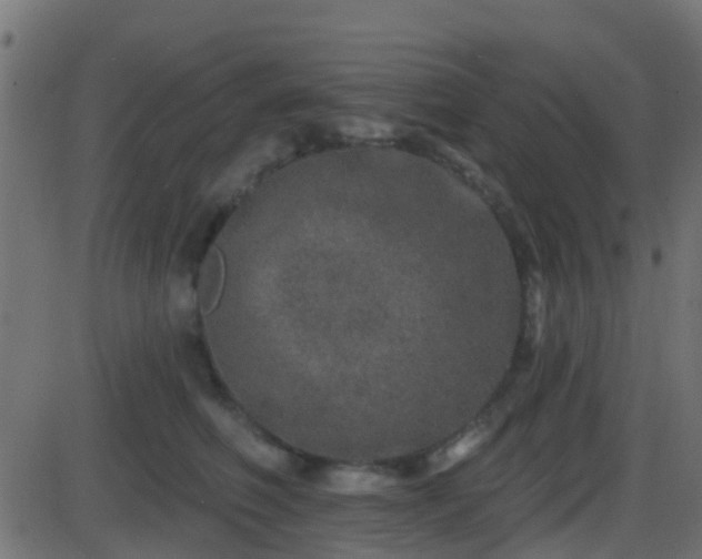 X0000086270614200704051311