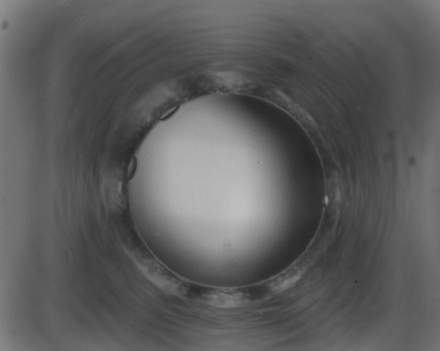 X0000086270615200704051311