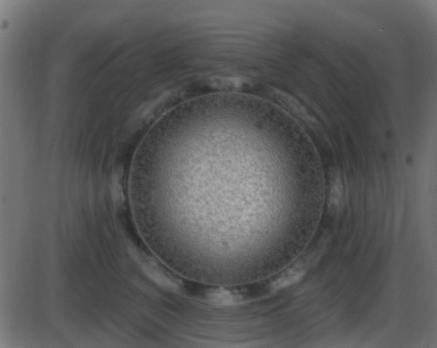 X0000086270616200704051311