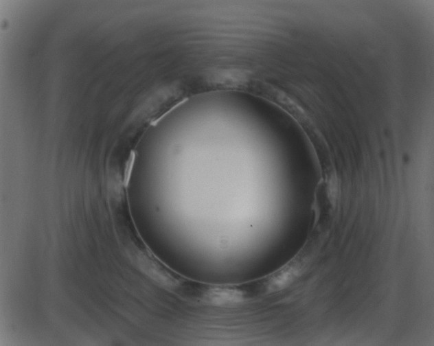 X0000086270617200704051311