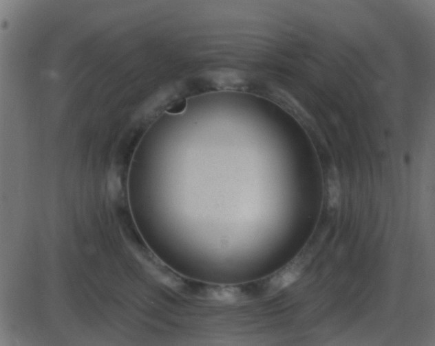 X0000086270618200704051311