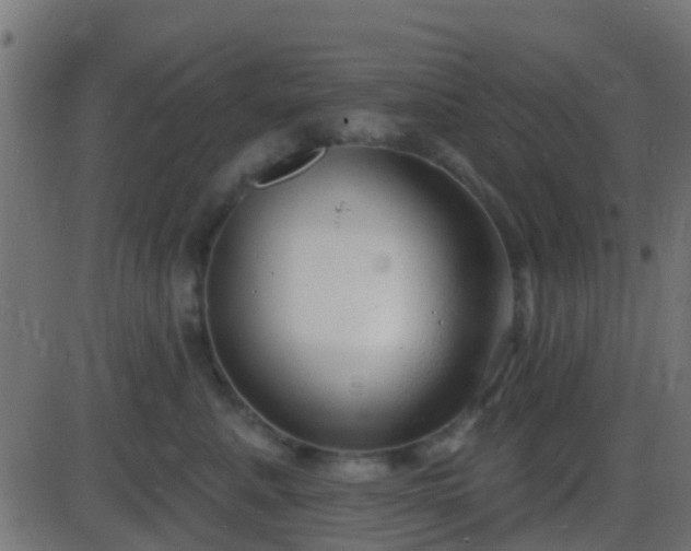 X0000086270619200704051311