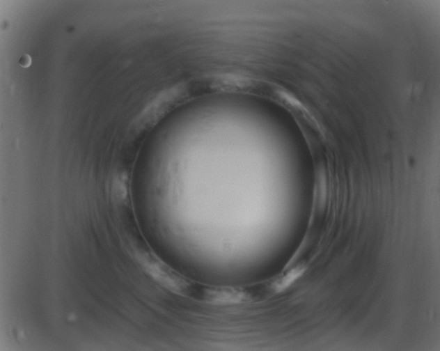 X0000086270621200704051311