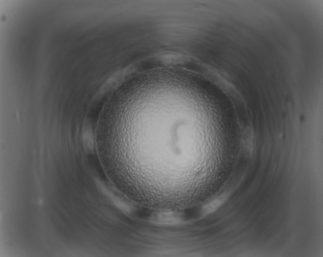 X0000086270622200704051311