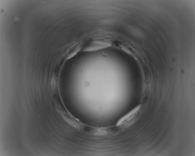 X0000086270623200704051311