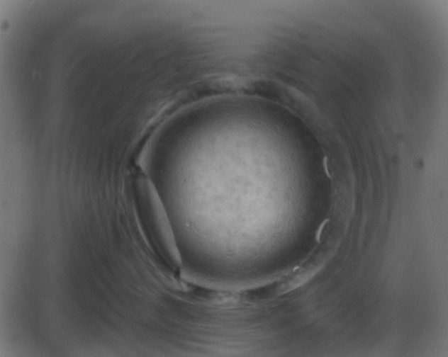 X0000086270624200704051311