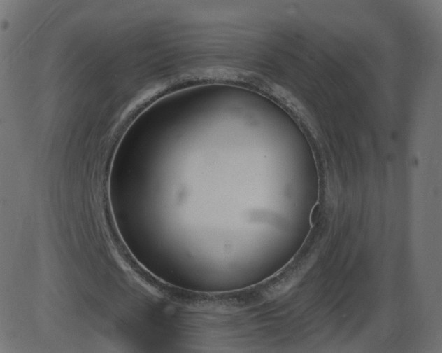 X0000086270625200704051310