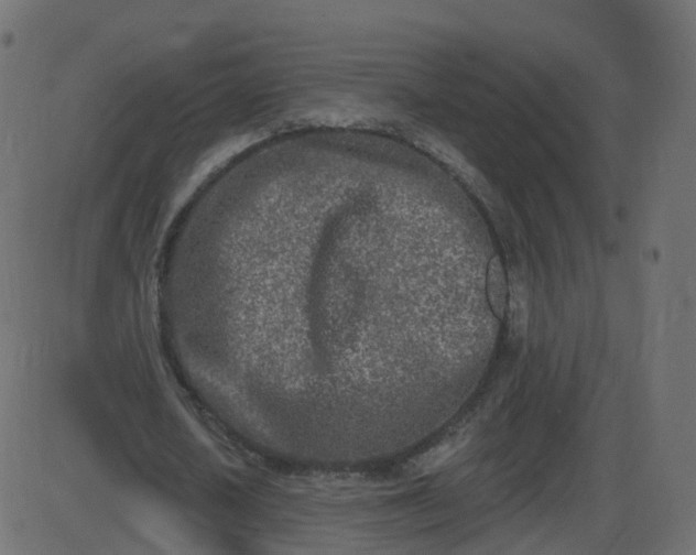 X0000086270626200704051310