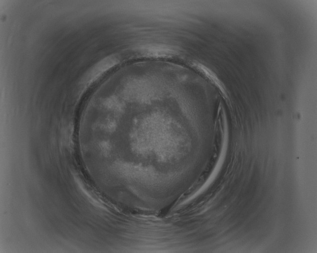 X0000086270627200704051310