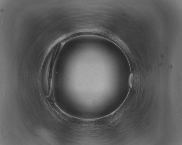 X0000086270628200704051310