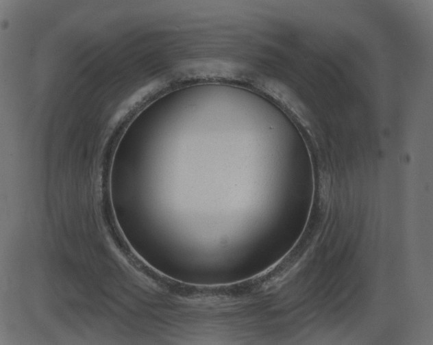 X0000086270629200704051310