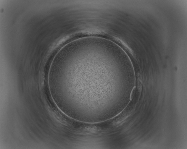 X0000086270631200704051310