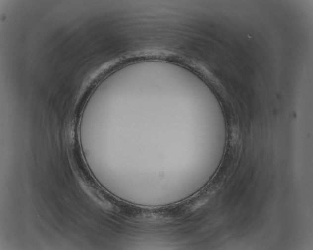 X0000086270632200704051310