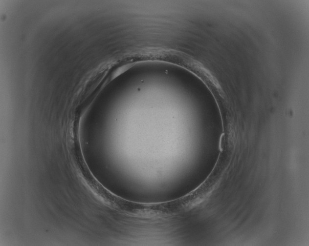 X0000086270633200704051310