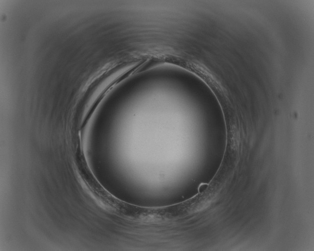 X0000086270634200704051310