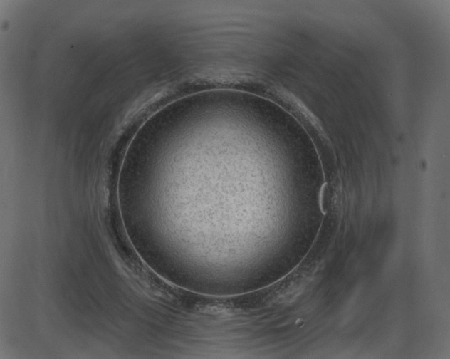 X0000086270635200704051310