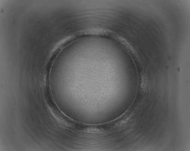 X0000086270636200704051310