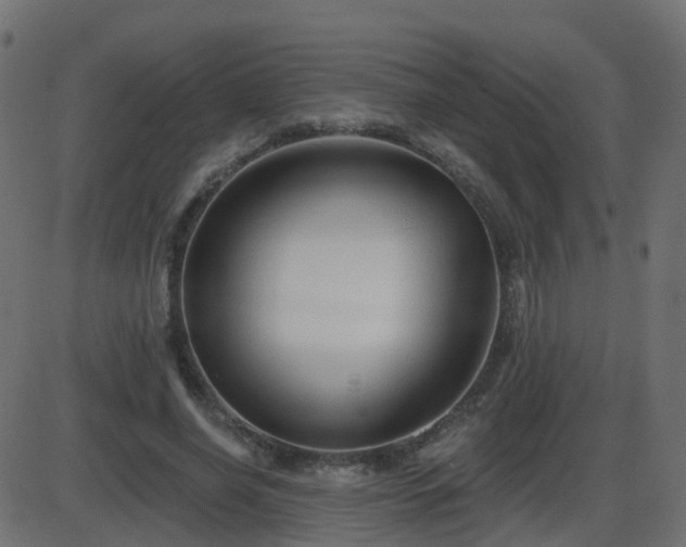 X0000086270638200704051310