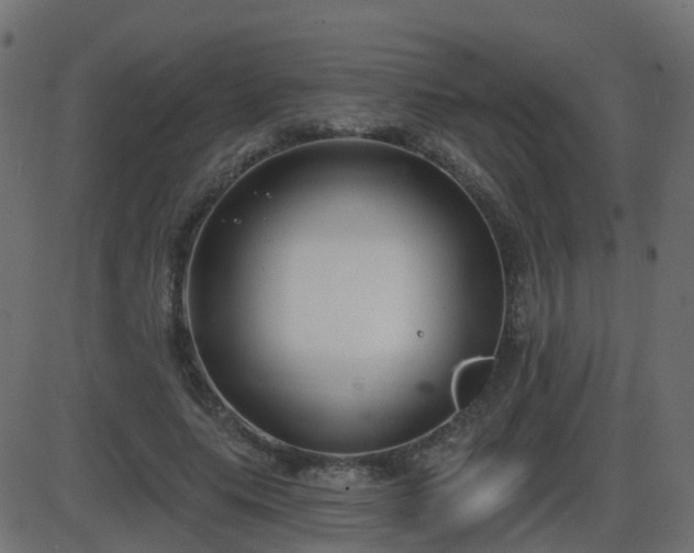 X0000086270639200704051310