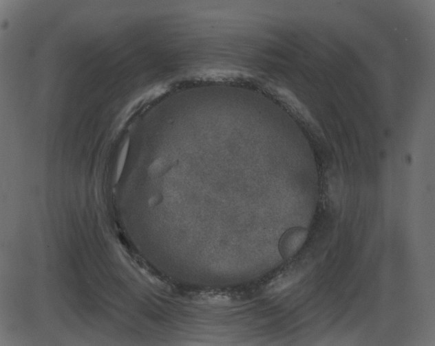 X0000086270640200704051310