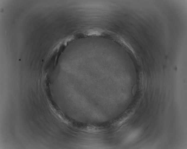 X0000086270641200704051310