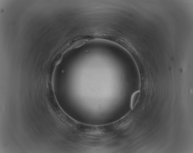 X0000086270643200704051310