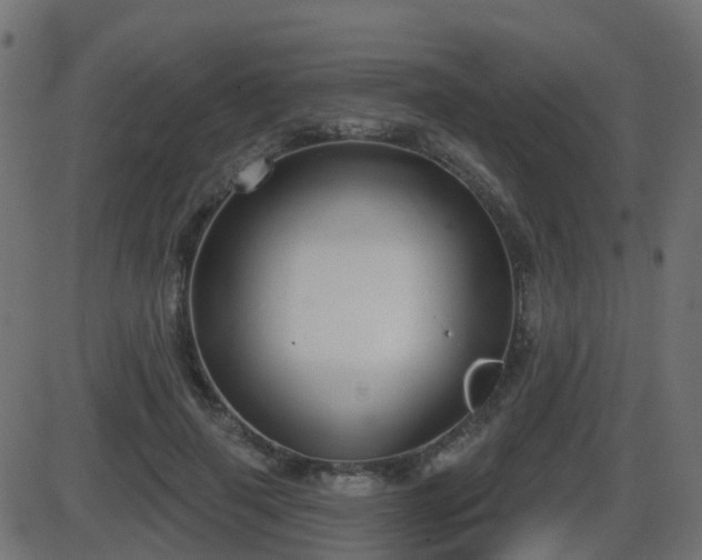 X0000086270645200704051310