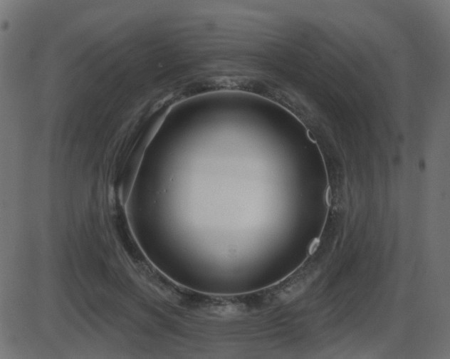 X0000086270646200704051310